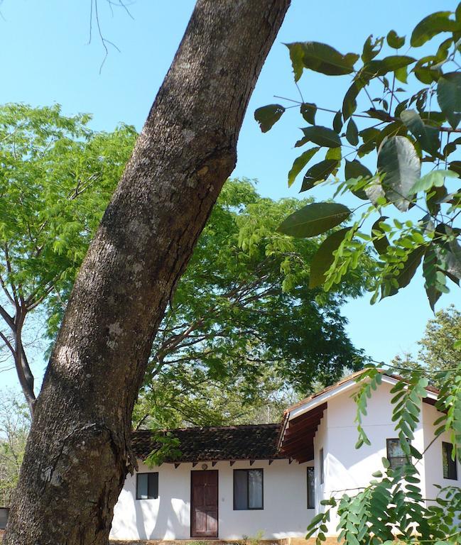 Finca Buena Fuente Residence Hotel Νικόγια Εξωτερικό φωτογραφία