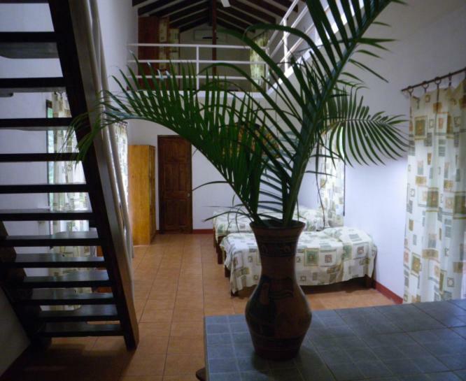 Finca Buena Fuente Residence Hotel Νικόγια Εξωτερικό φωτογραφία